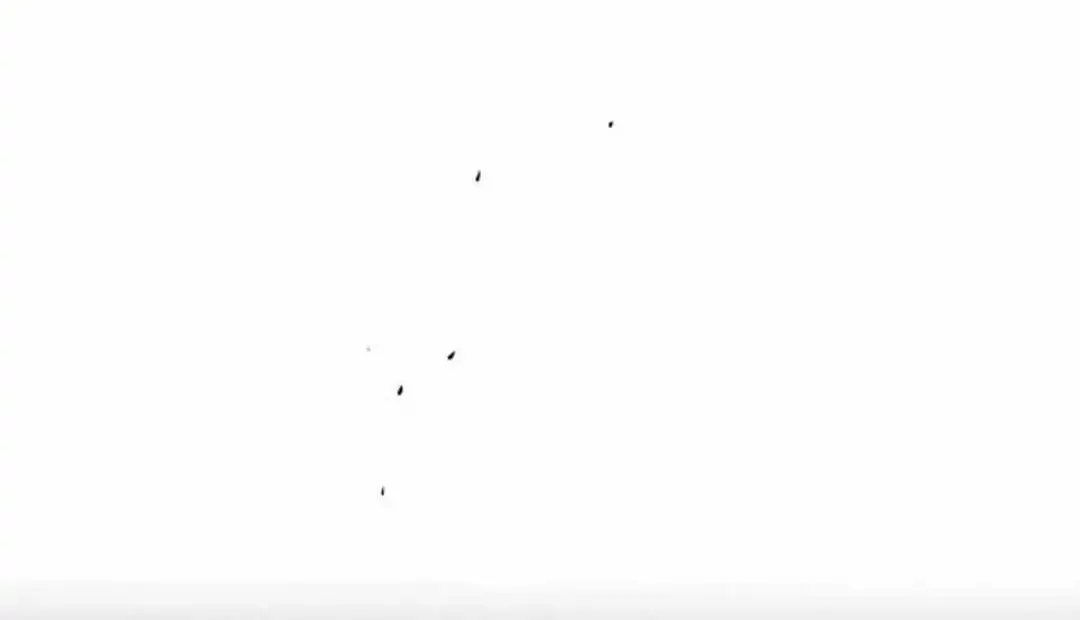 Tears On A Withered Flower