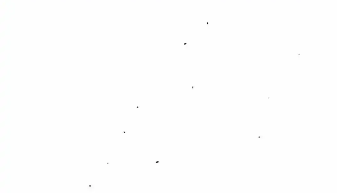 Tears On A Withered Flower