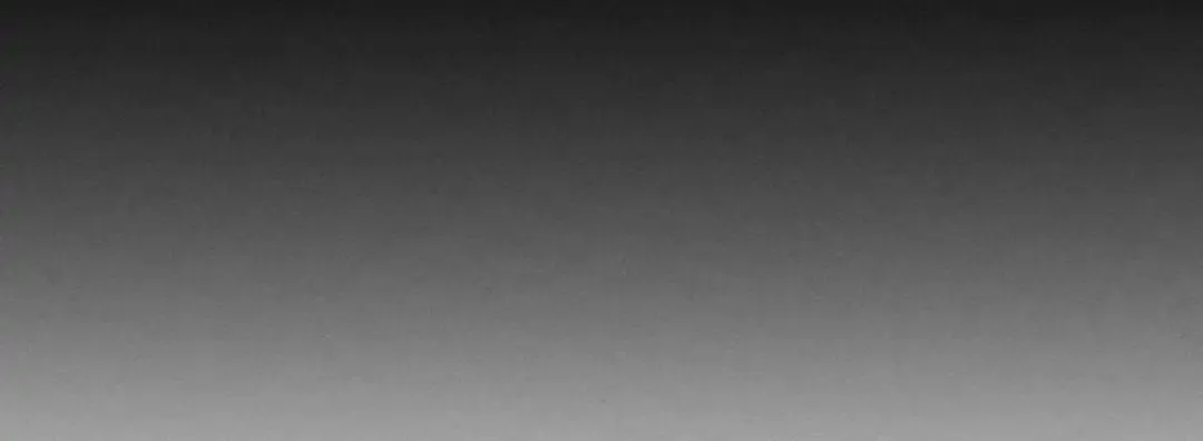 Tears On A Withered Flower