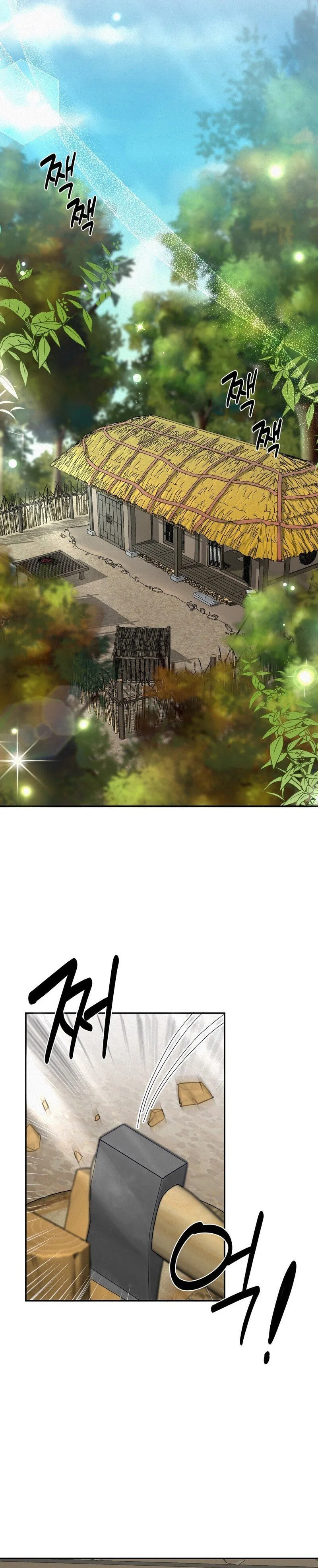 The Fairy's Wish