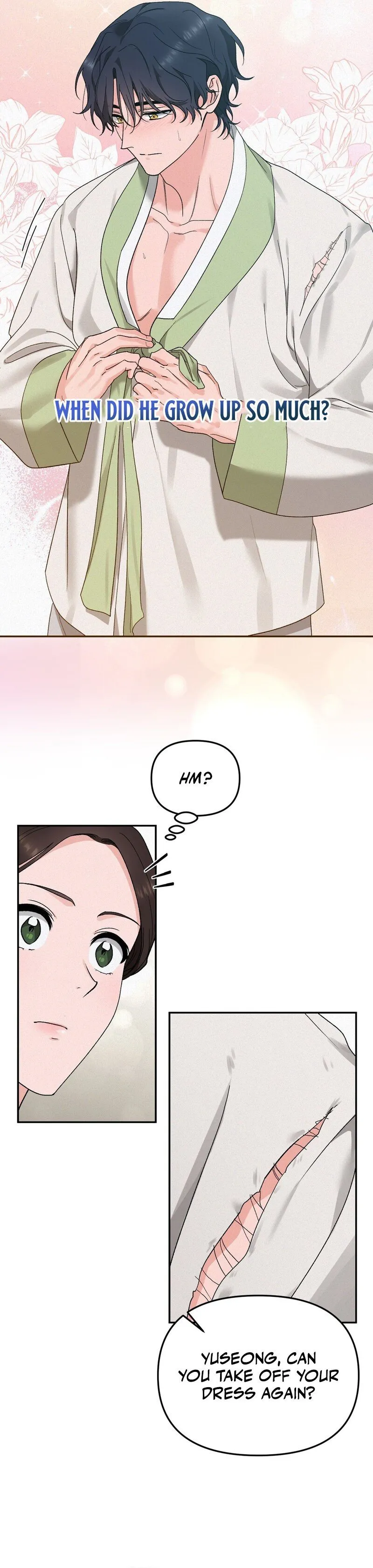 The Fairy's Wish