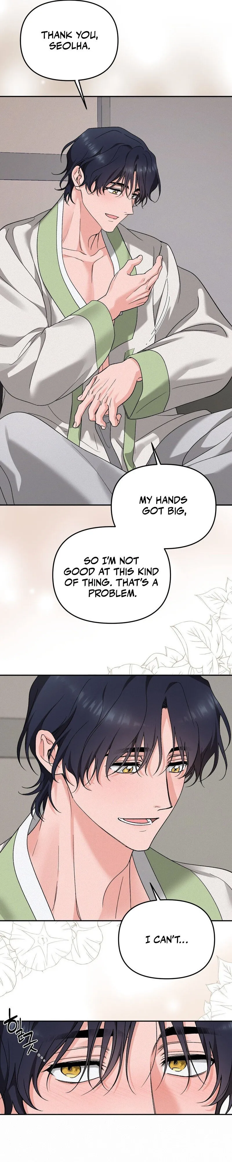 The Fairy's Wish