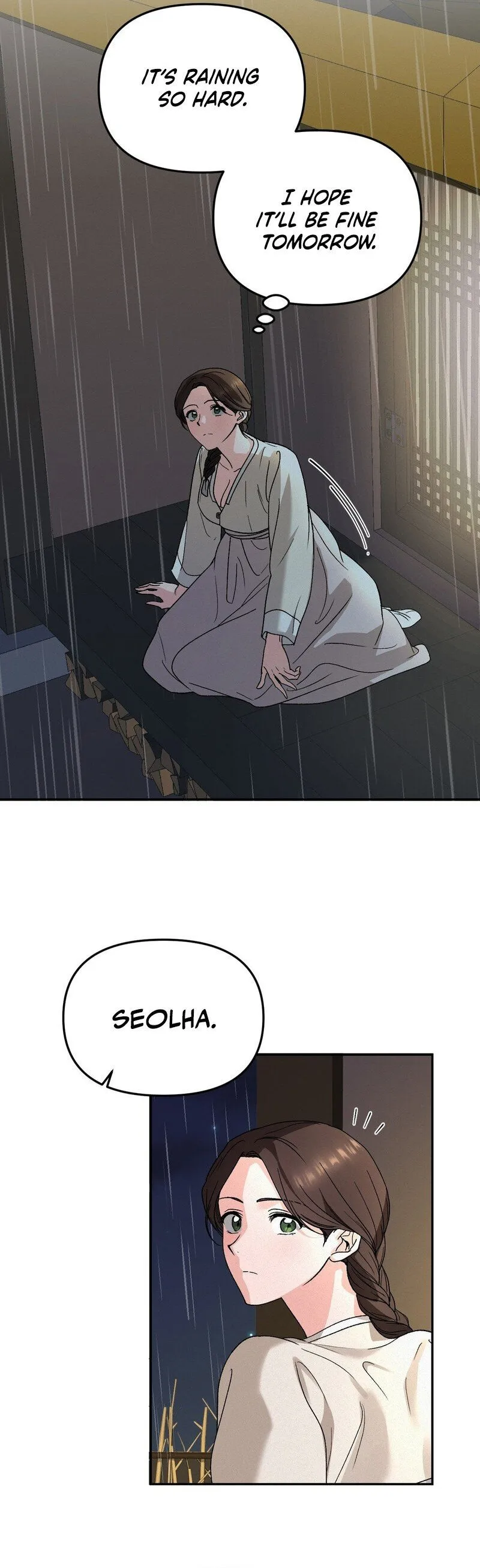 The Fairy's Wish
