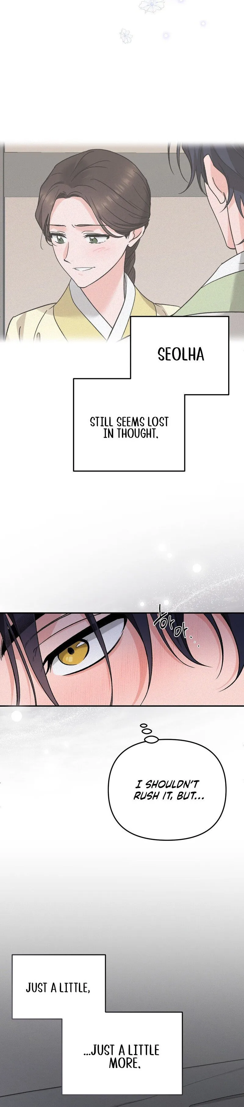 The Fairy's Wish