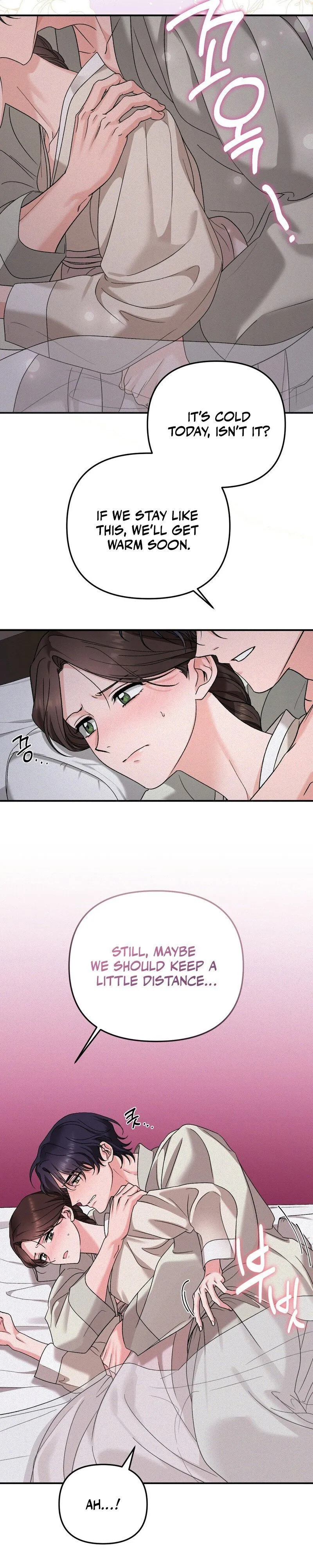 The Fairy's Wish