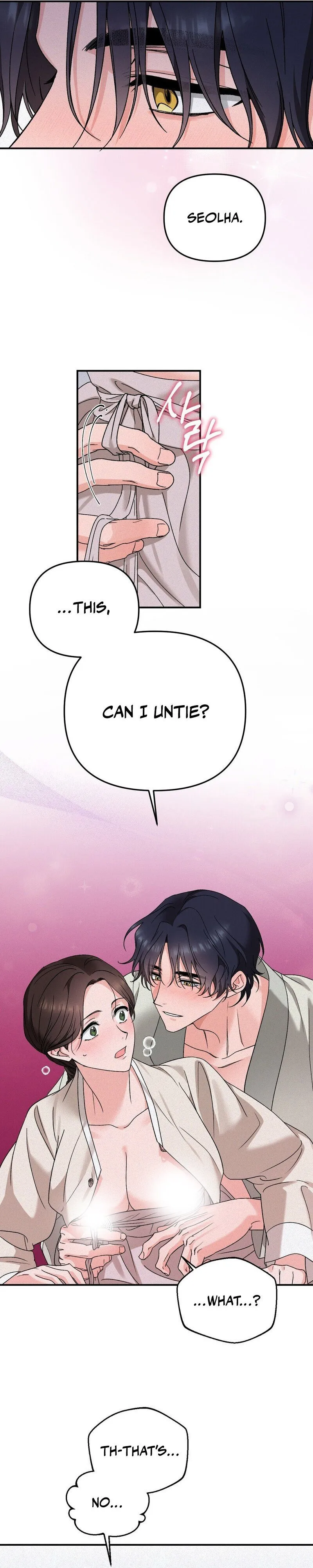 The Fairy's Wish