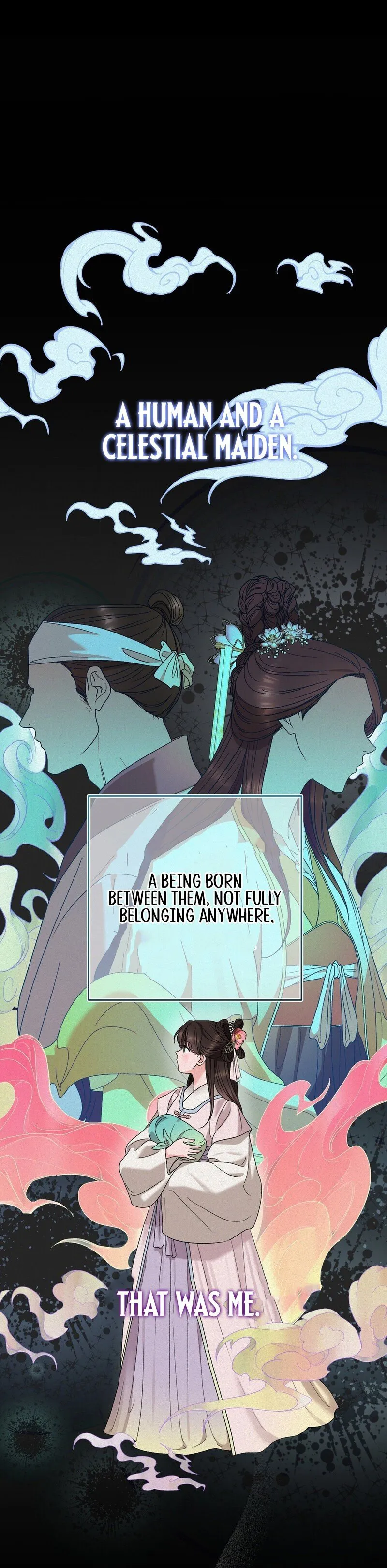 The Fairy's Wish