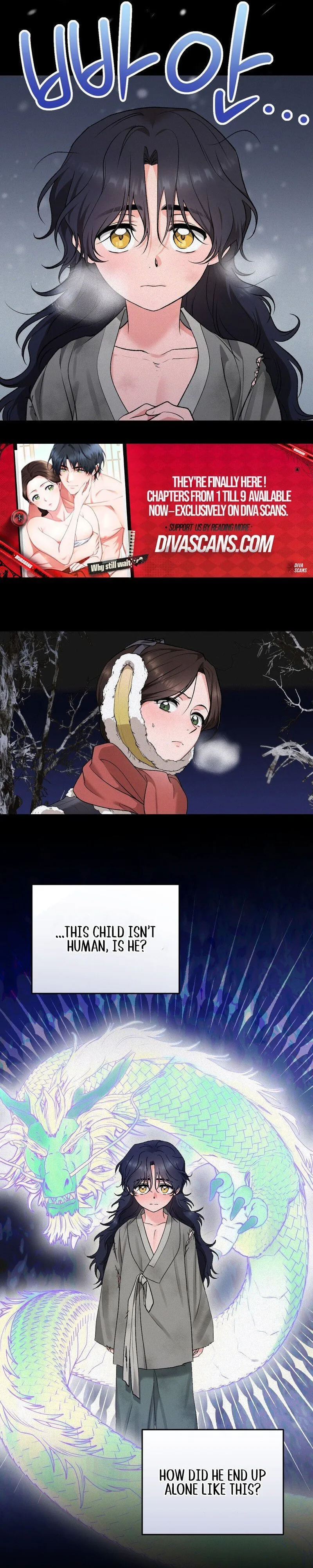 The Fairy's Wish