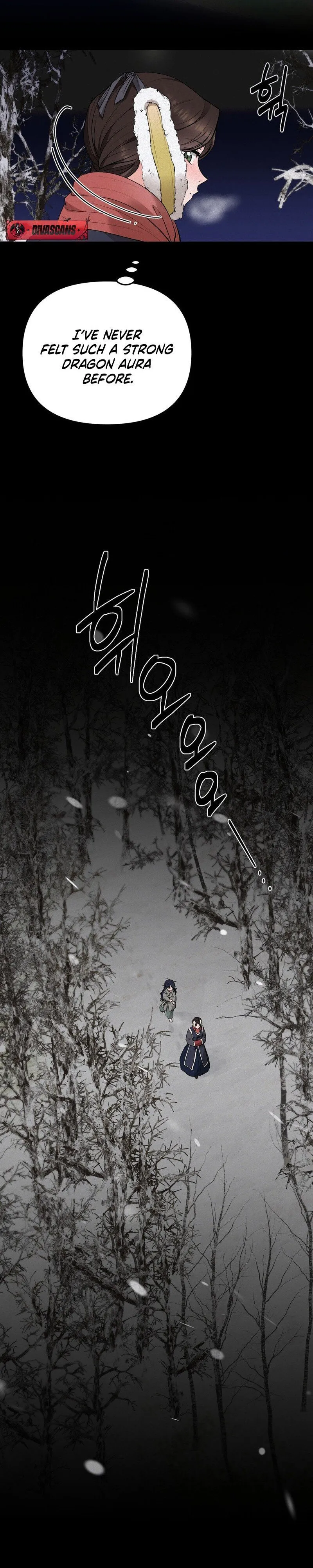 The Fairy's Wish