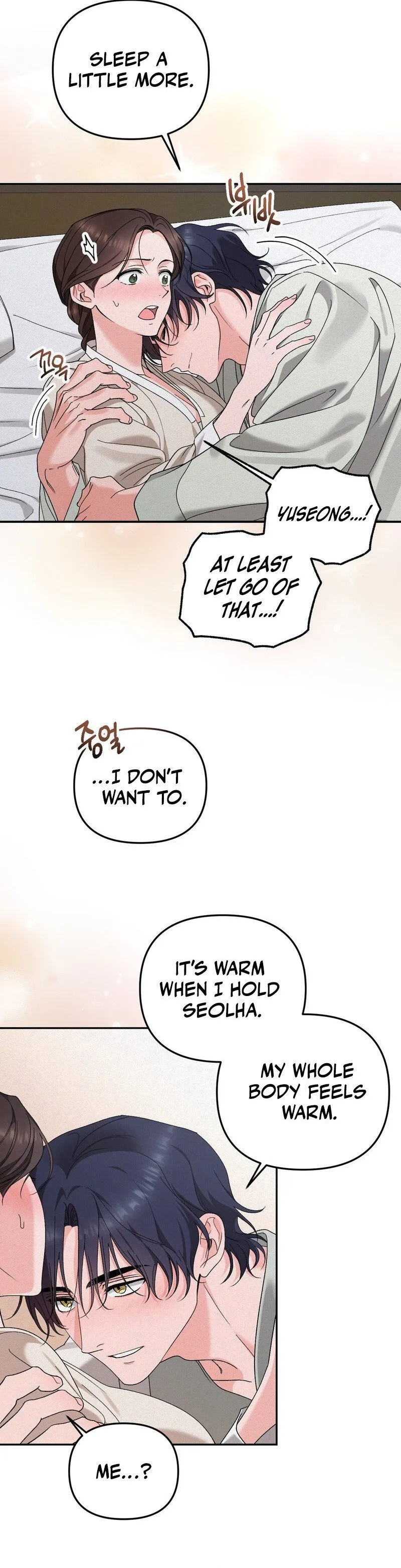 The Fairy's Wish
