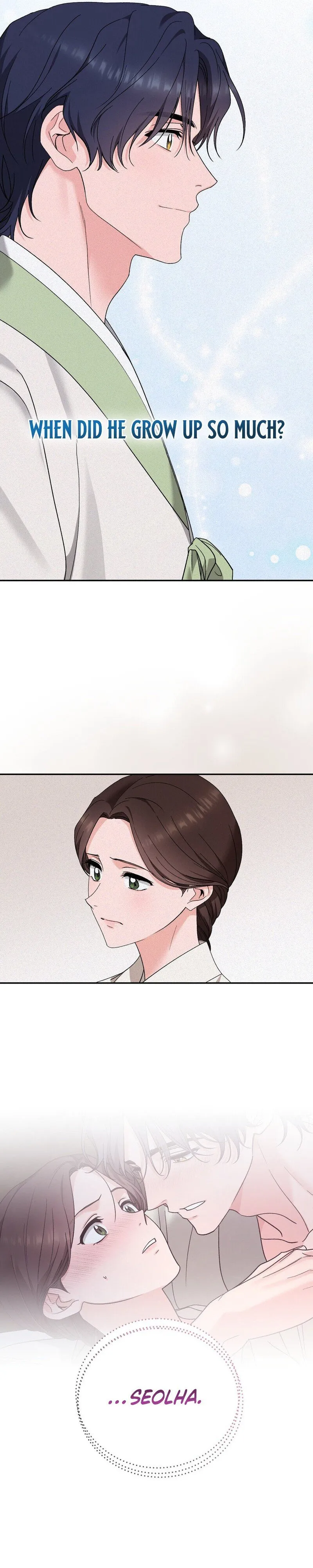 The Fairy's Wish