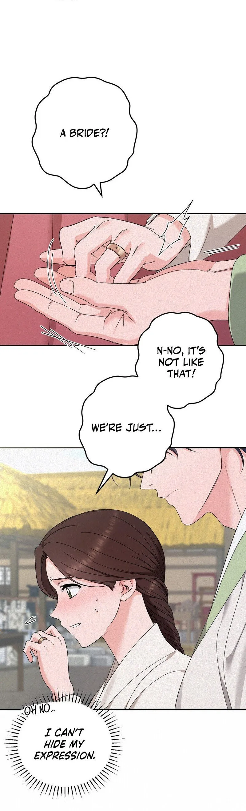 The Fairy's Wish
