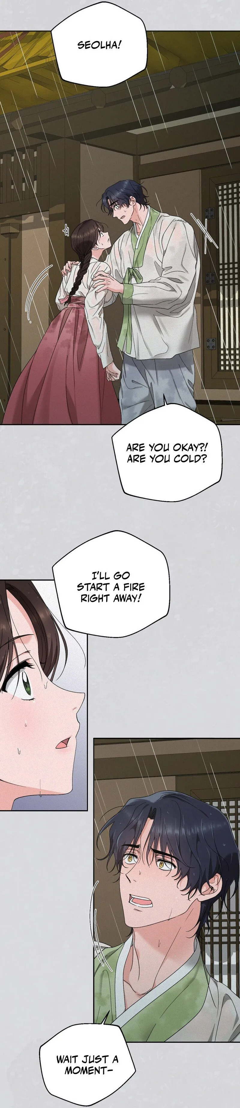 The Fairy's Wish