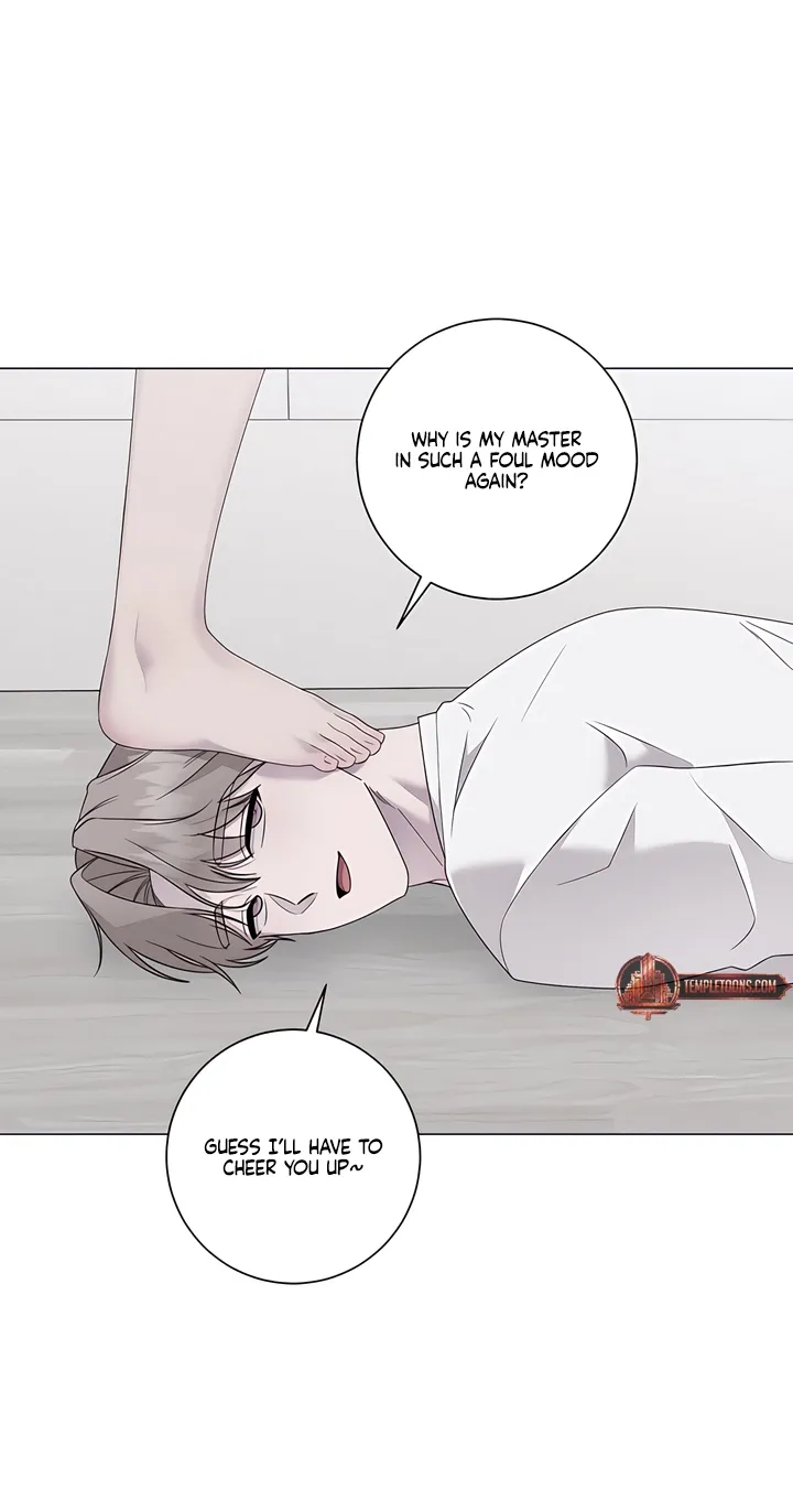 Jiwoo's Master — Chapter 46 — Page 41