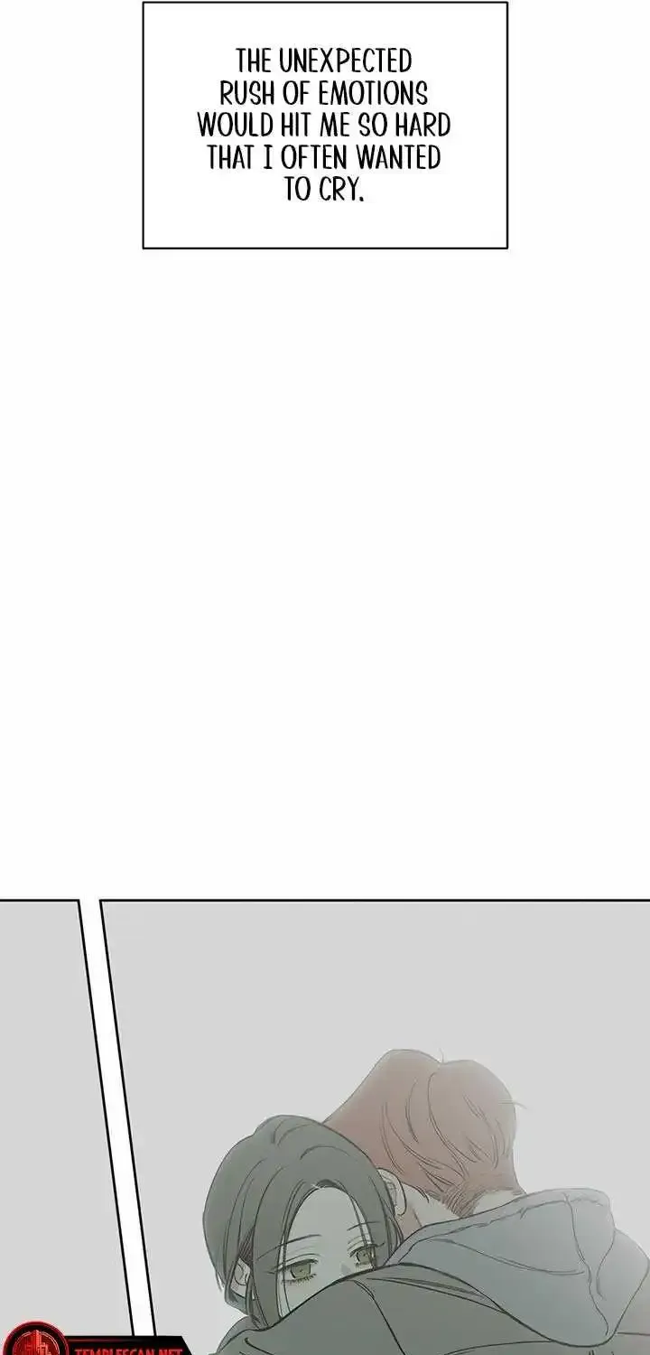 Tears On A Withered Flower