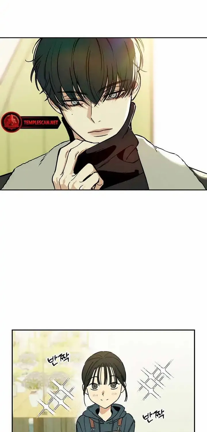 Tears On A Withered Flower