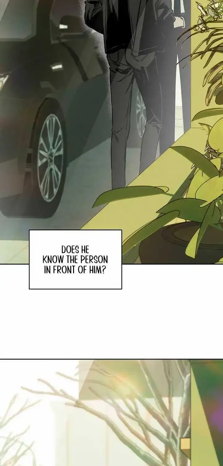 Tears On A Withered Flower