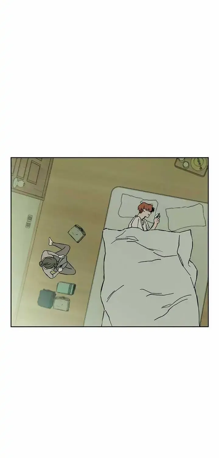 Tears On A Withered Flower