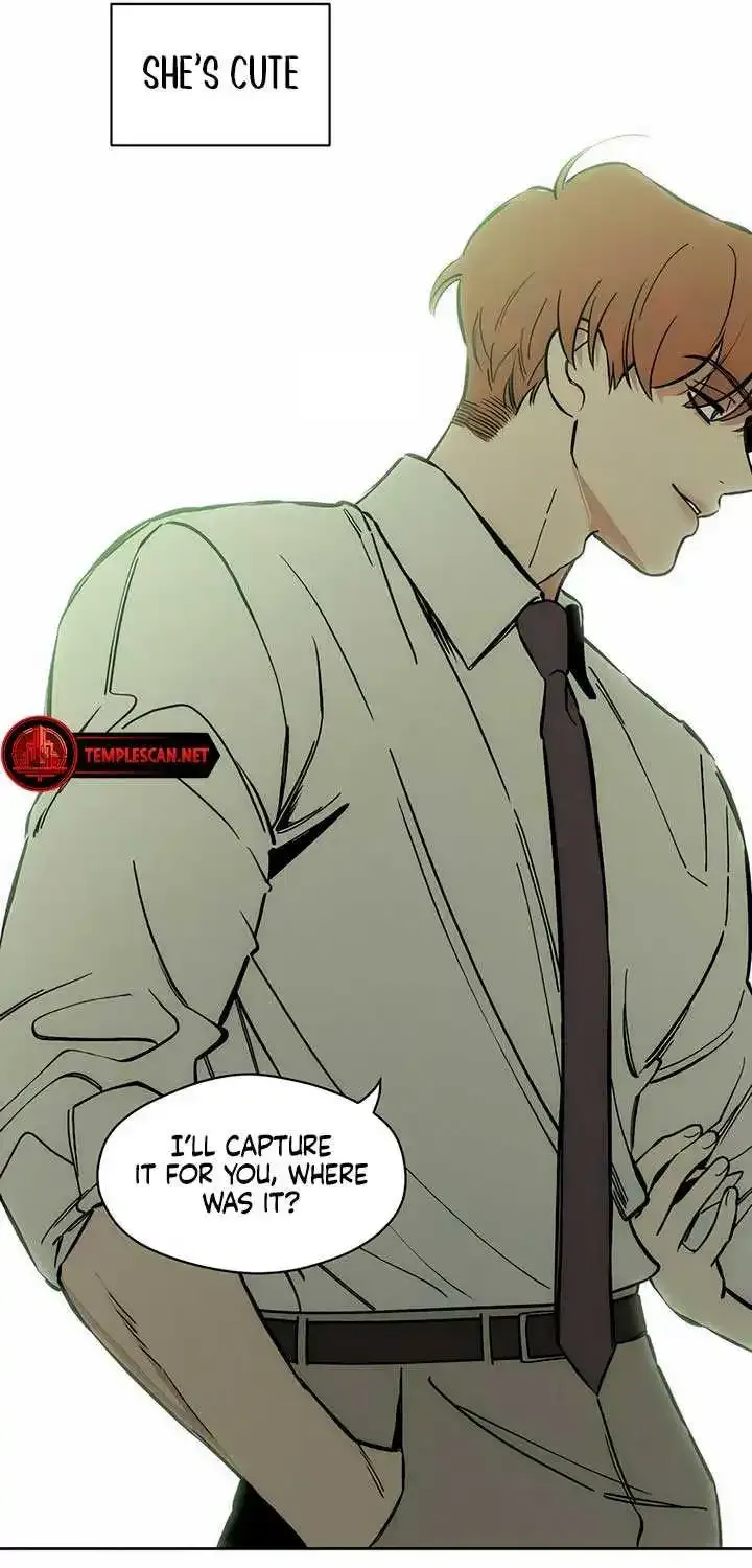 Tears On A Withered Flower