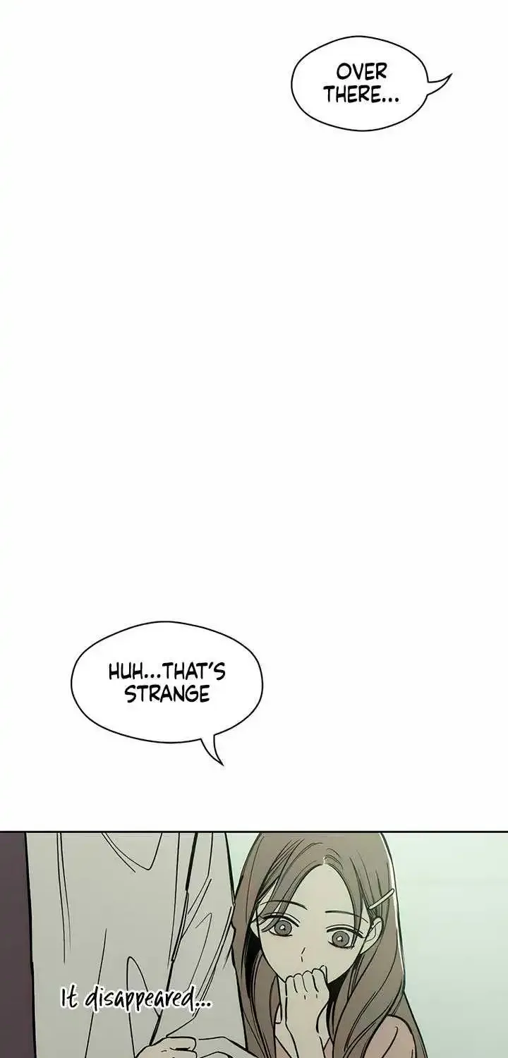 Tears On A Withered Flower