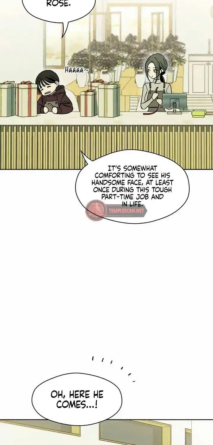 Tears On A Withered Flower