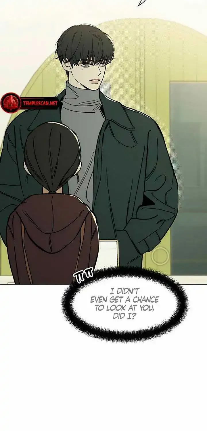 Tears On A Withered Flower