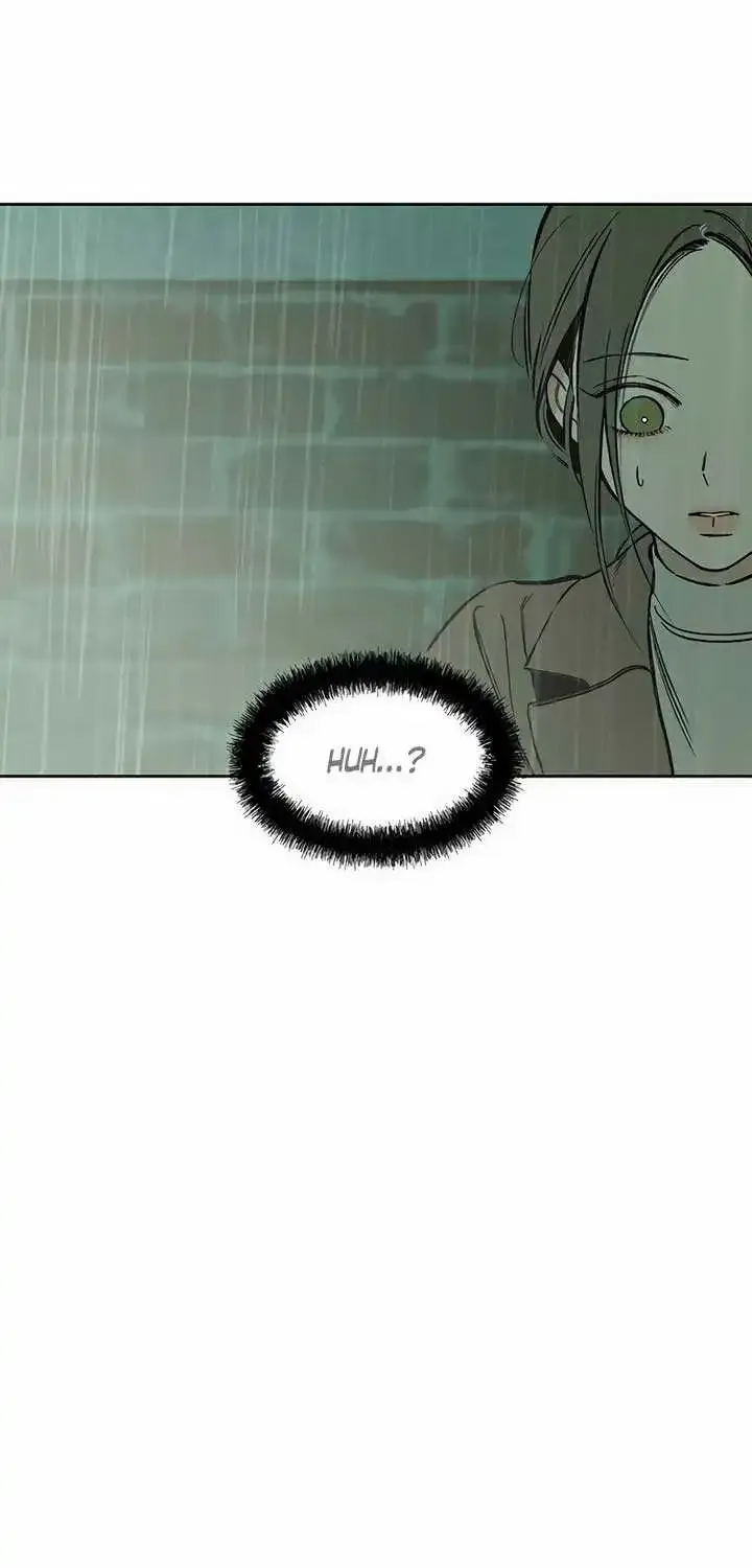 Tears On A Withered Flower