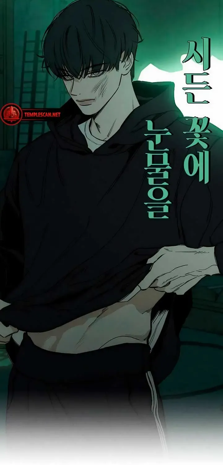 Tears On A Withered Flower