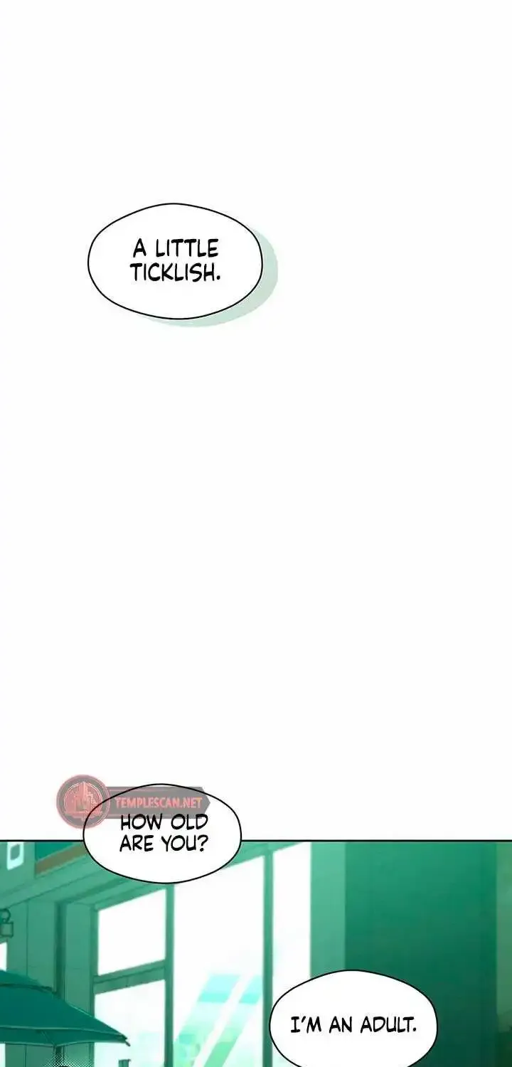 Tears On A Withered Flower