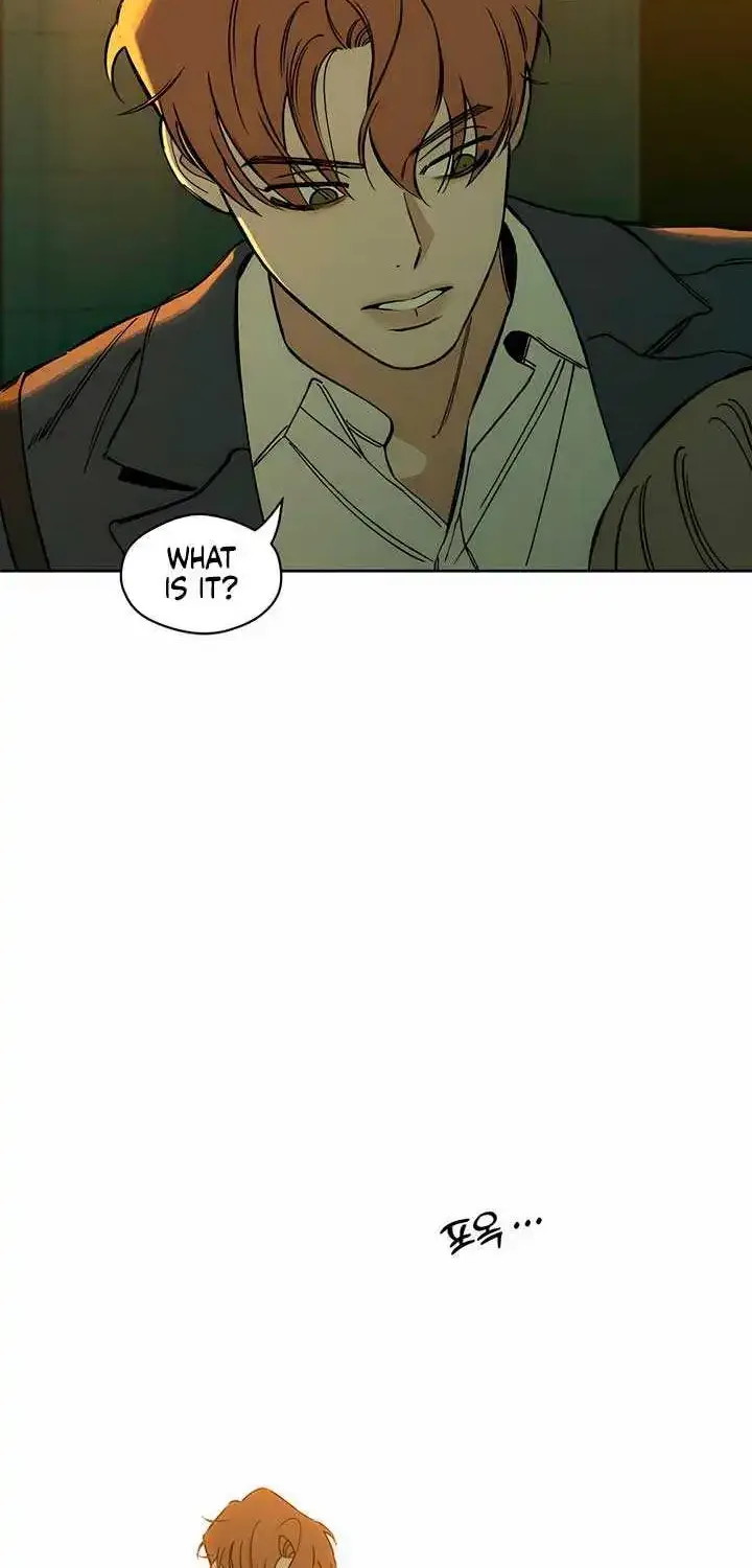 Tears On A Withered Flower