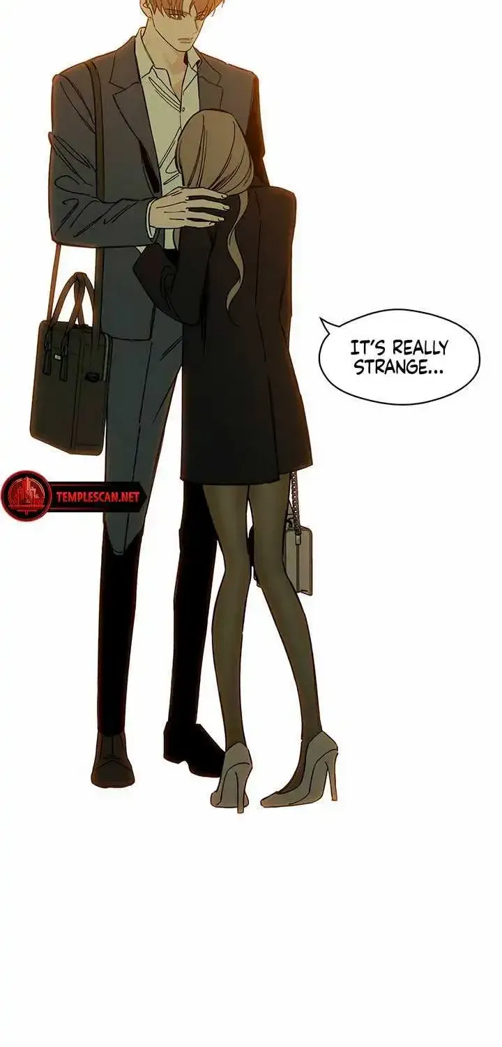 Tears On A Withered Flower