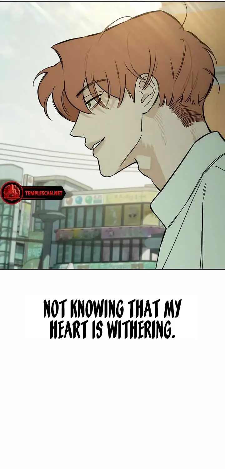 Tears On A Withered Flower