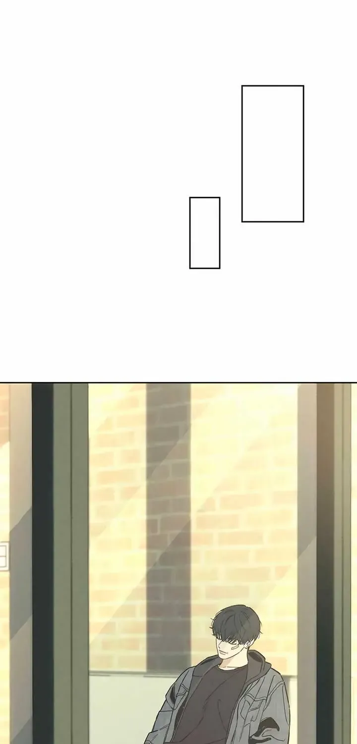 Tears On A Withered Flower