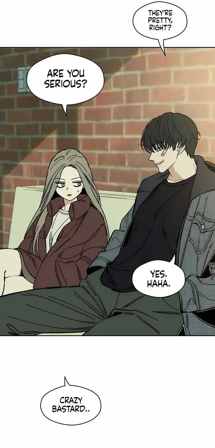 Tears On A Withered Flower