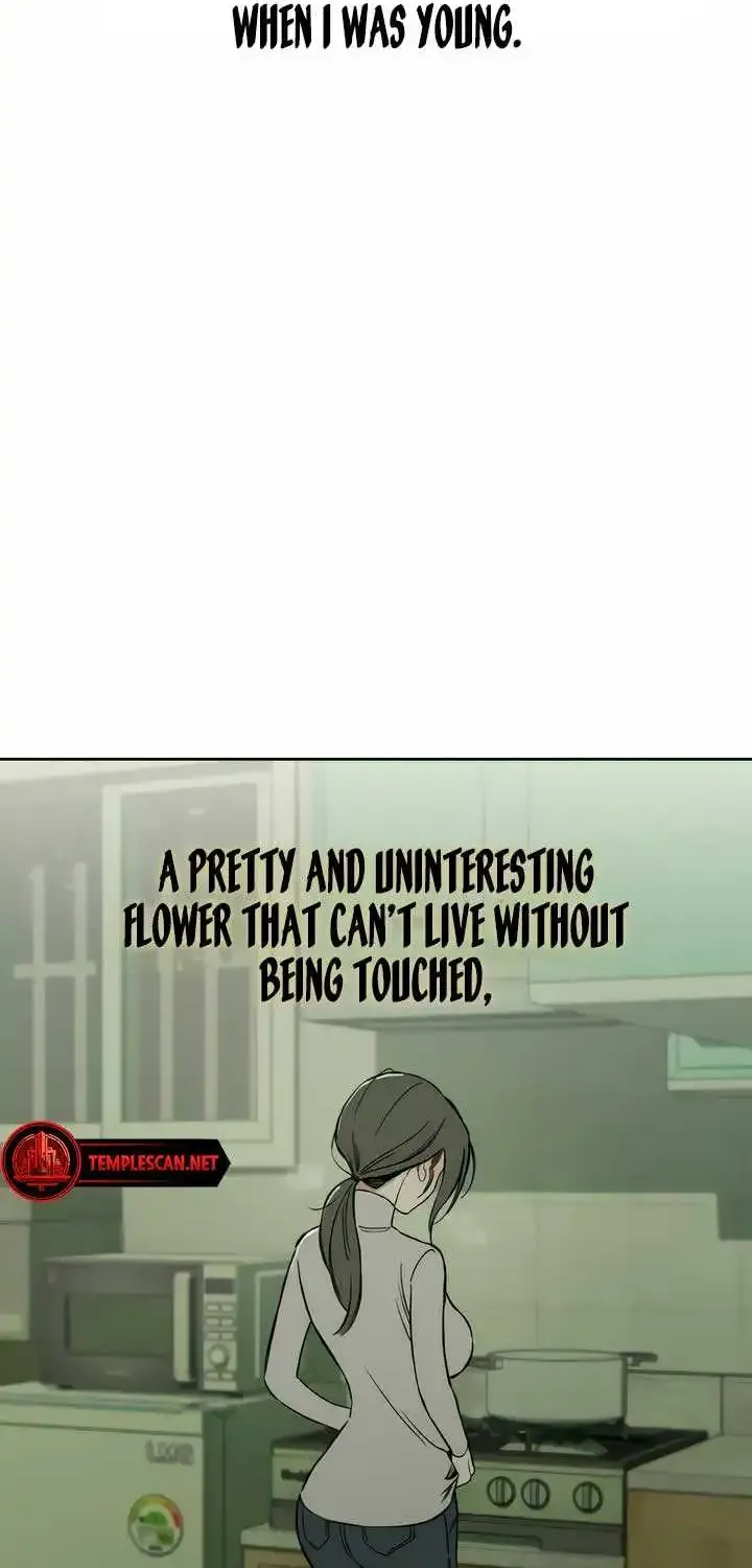 Tears On A Withered Flower