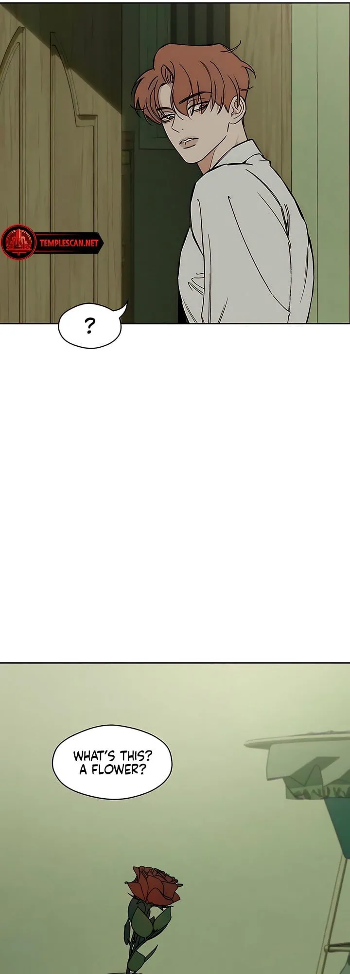 Tears On A Withered Flower