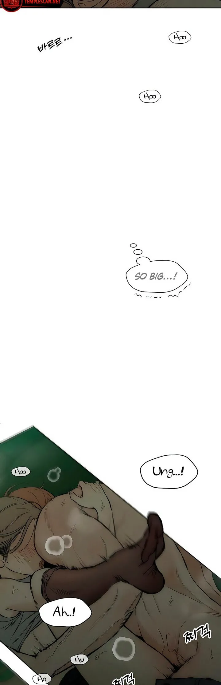 Tears On A Withered Flower