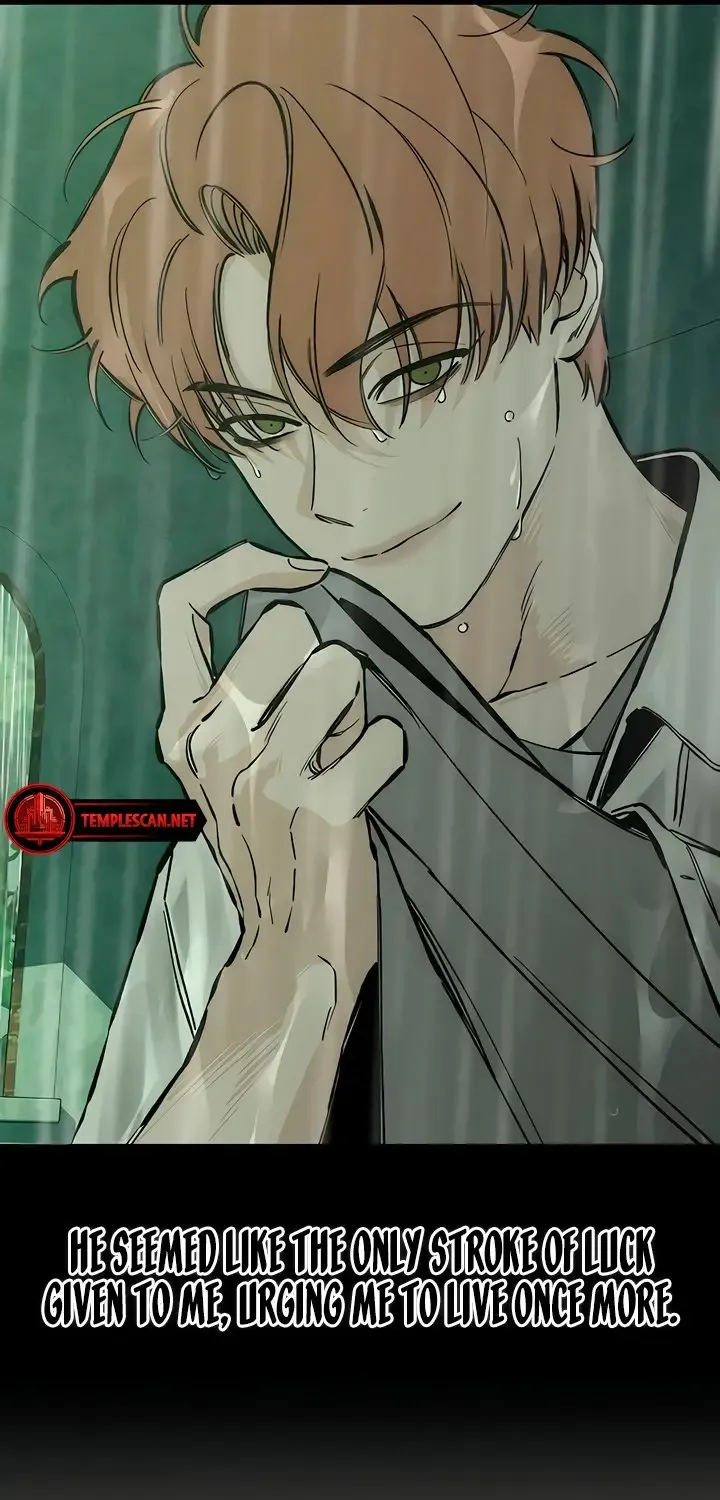 Tears On A Withered Flower