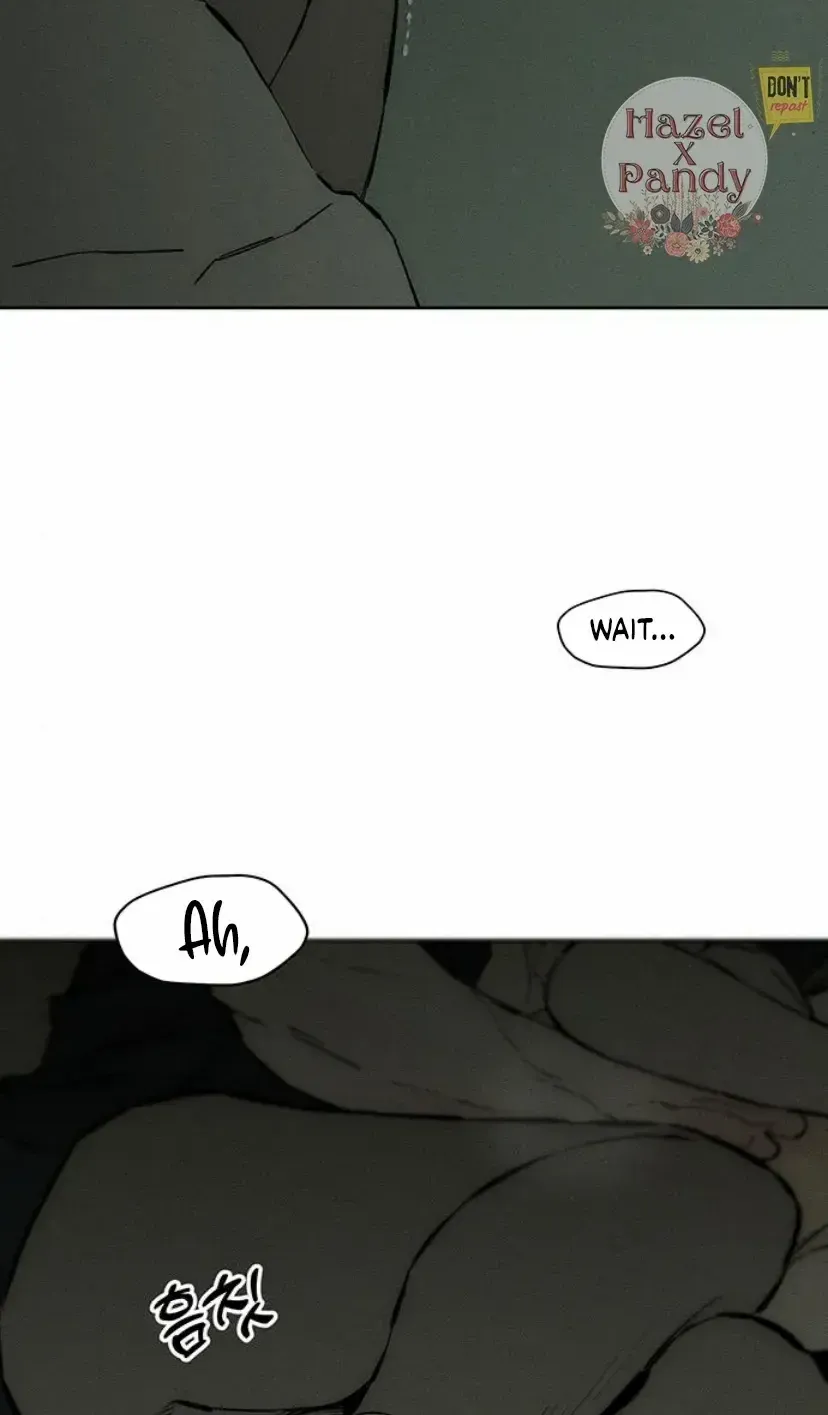 Tears On A Withered Flower