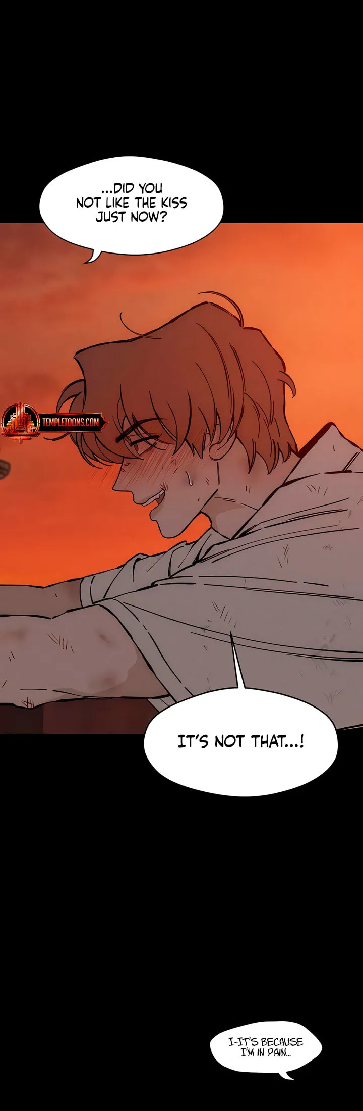 Tears On A Withered Flower