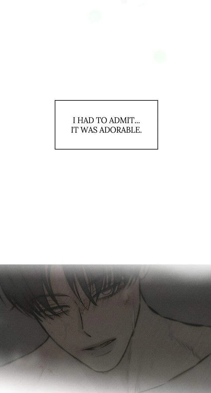 Tears On A Withered Flower