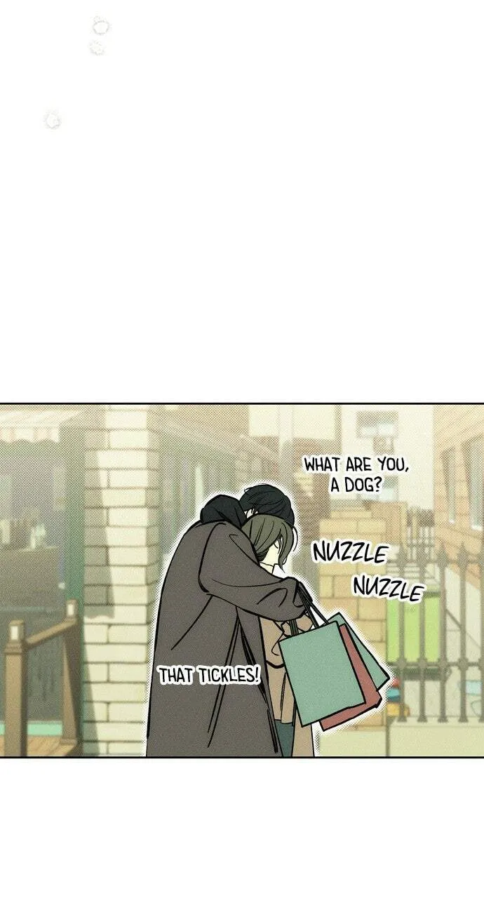 Tears On A Withered Flower