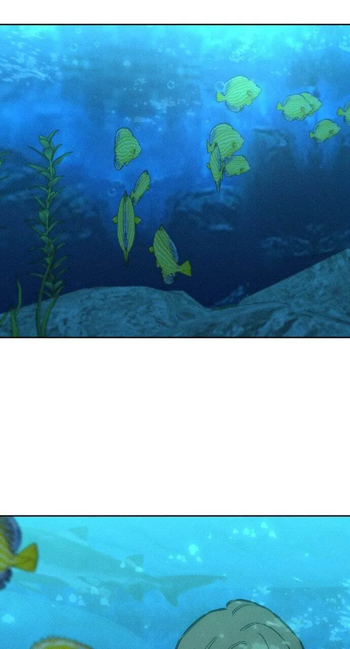 Tears On A Withered Flower