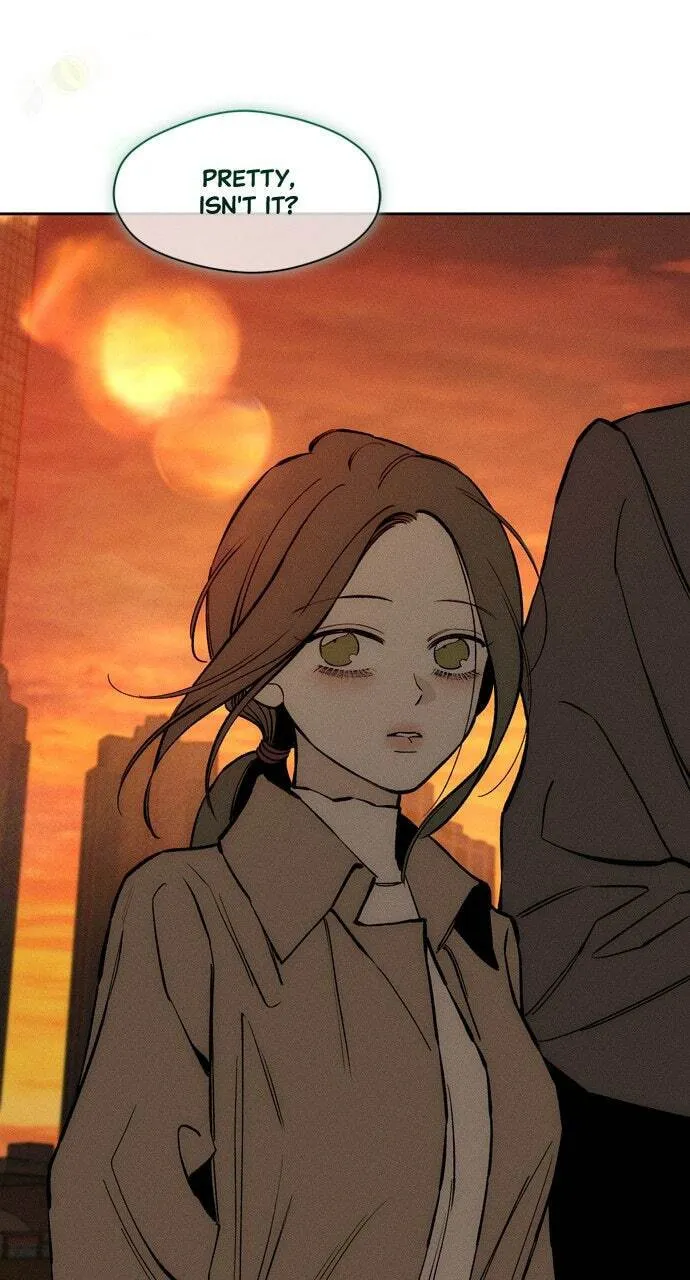 Tears On A Withered Flower