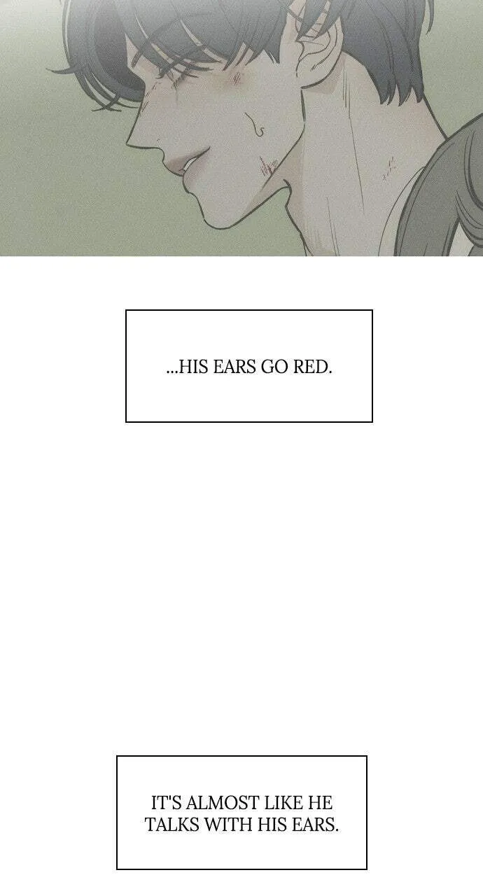 Tears On A Withered Flower