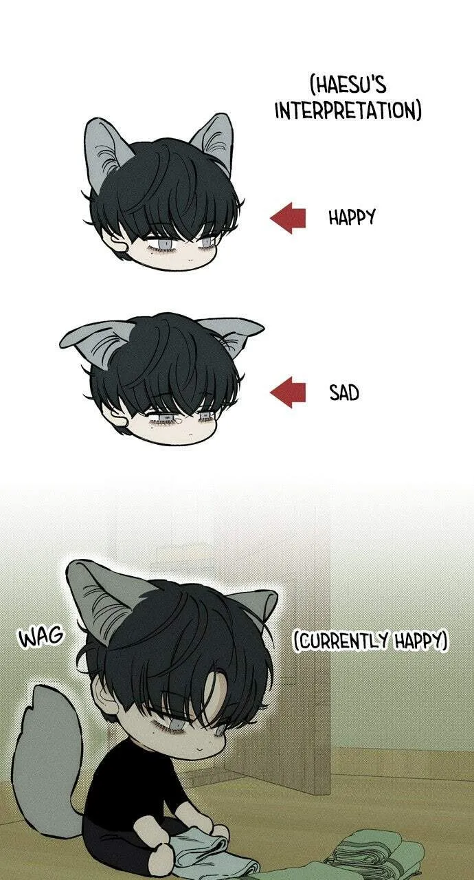 Tears On A Withered Flower