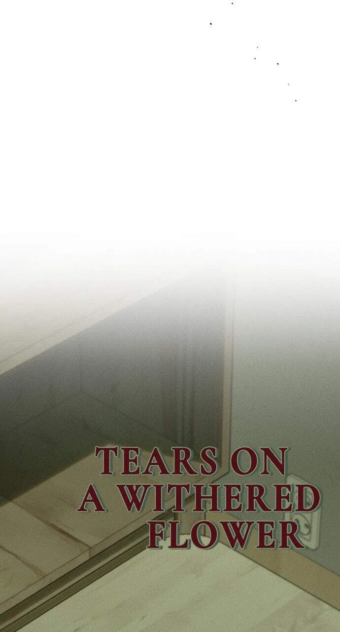 Tears On A Withered Flower