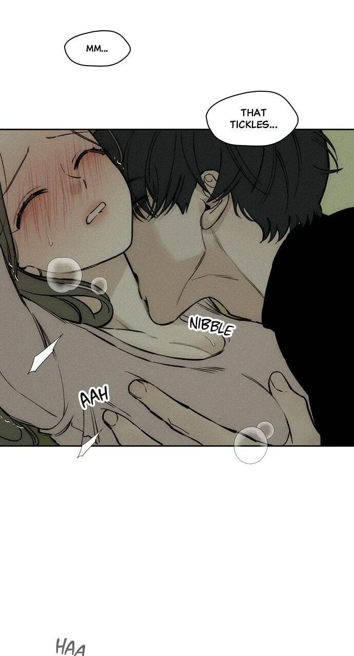 Tears On A Withered Flower