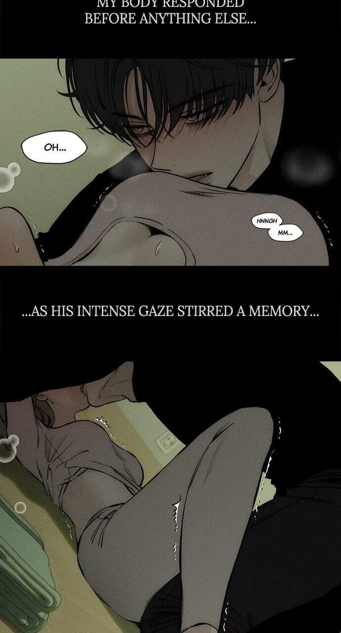 Tears On A Withered Flower