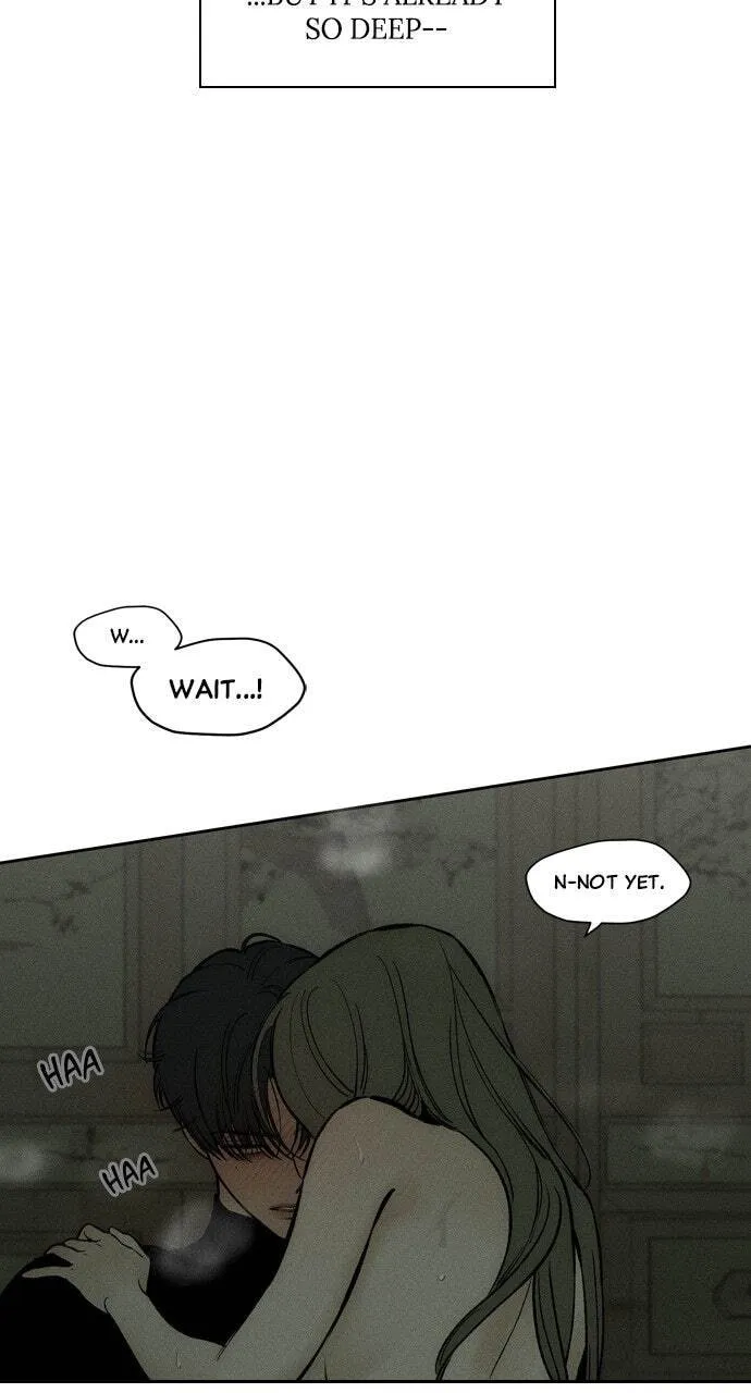 Tears On A Withered Flower